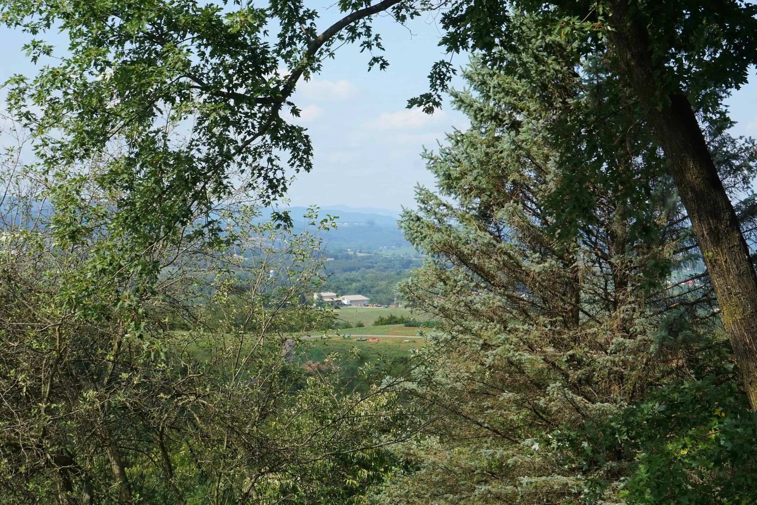 Jenkins Insurance & Financial Services, Inc